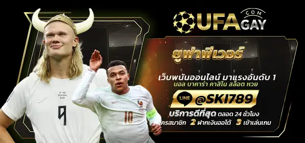 ยูฟ่าฟีเวอร์